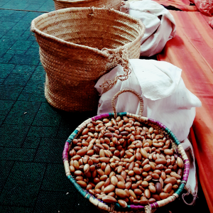 Benefits of Argan Oil
